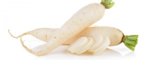 减肥期间能不能吃萝卜