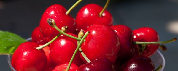 山东春节摆什么水果