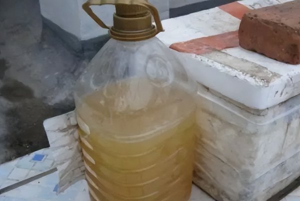 韭菜越长越细什么原因