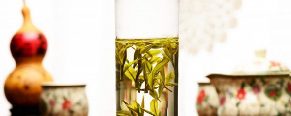 富晒茶什么季节喝好