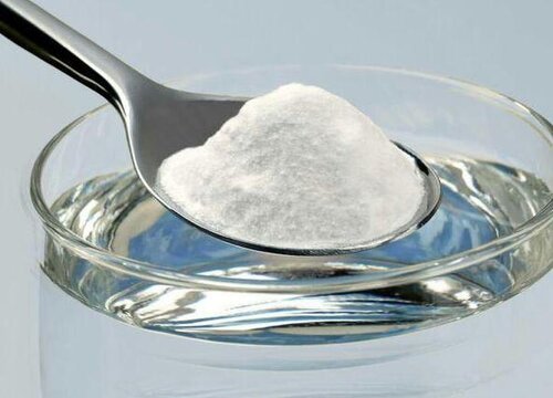 小苏打如何给长寿花催花