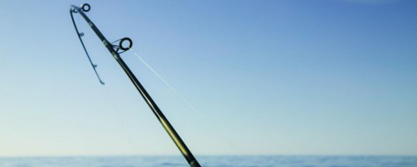 怎样判别路亚竿的好坏