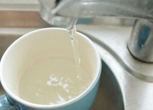 自来水可以直接浇花吗