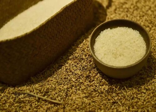 如何自制花肥水一瓶它就能发酵很多