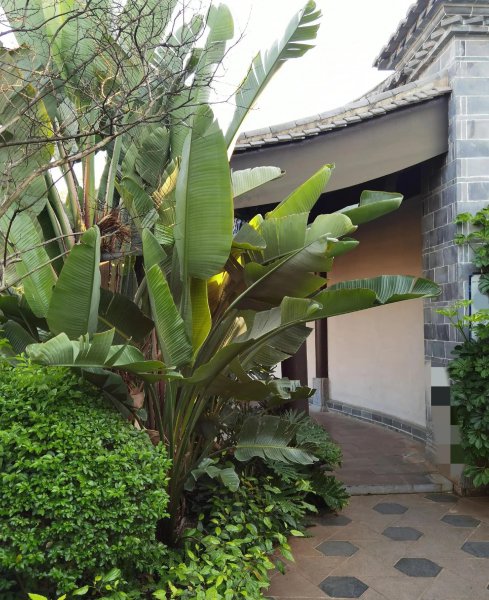 园林设计一般多少工资