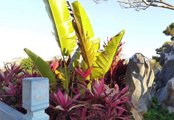 园林设计一般多少工资