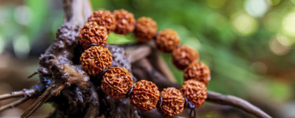 如何辨别手串的好坏