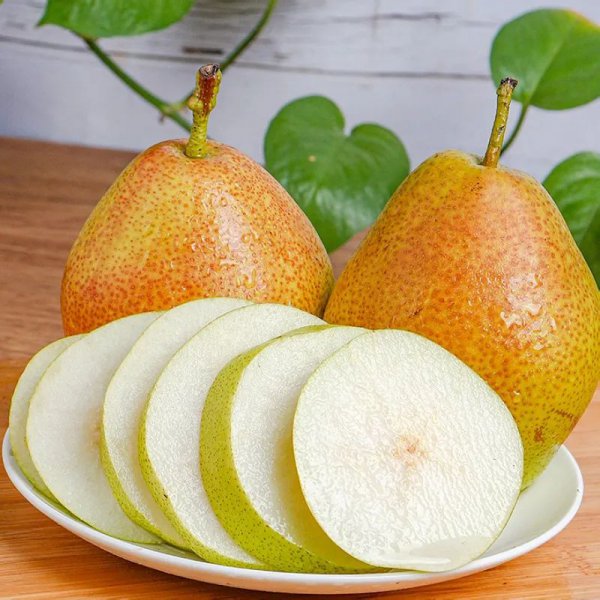 红香酥梨的优点