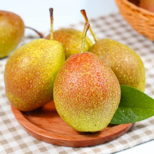 红香酥梨的优点