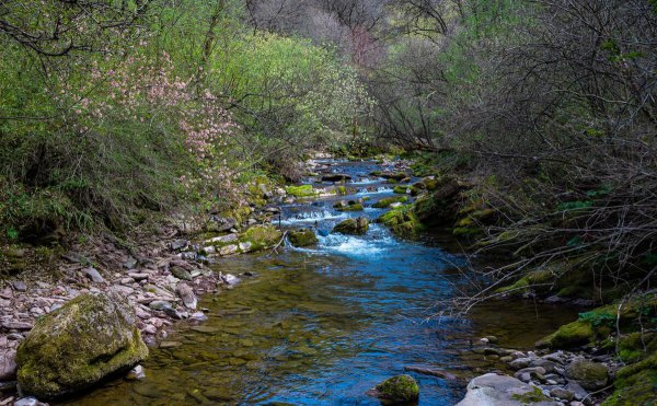 宁夏必去的五大景点