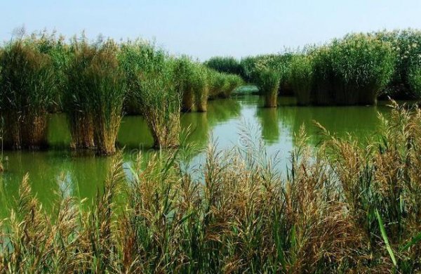 宁夏必去的五大景点