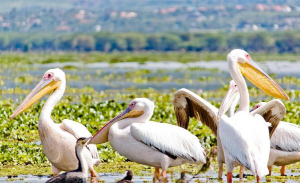 宁夏必去的五大景点