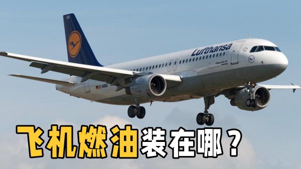 飞机油箱在飞机的哪个位置