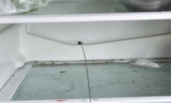 冰箱后面的储水盒怎么取出图解