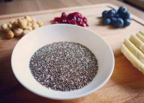 蓝莓种子催芽方法