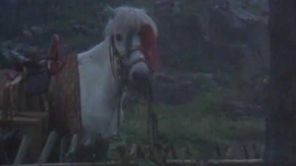 国产高评分电视剧排行榜