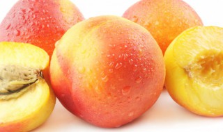 盆栽桃树冬天管理方法 冬天如何管理盆栽桃树