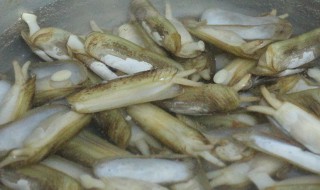 活蛏子暂时不吃怎么保存 怎么保存活蛏子