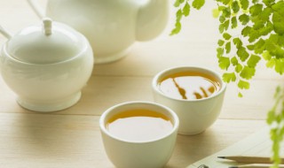 茶醉是什么 茶醉的简介