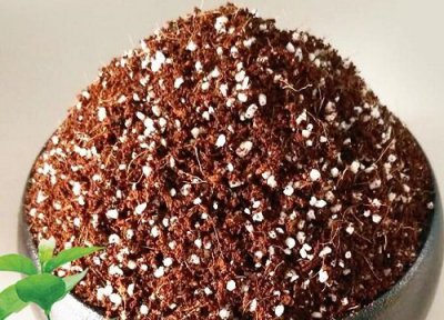 养花的土怎样配 养花如何配土根系旺