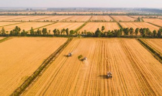 乡村游玩有哪些景点 中国乡村游景点哪个好