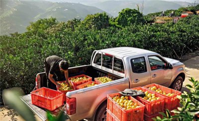 10万左右四驱皮卡买哪个好 十万上下口碑好的皮卡排行榜