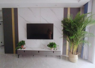 凤尾竹生长缓慢 凤尾竹长时间不长新竹笋是什么原因