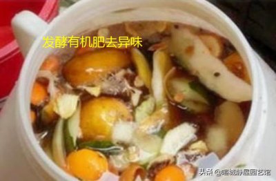 橘子皮能放在花盆里养花吗 橘子皮当养花肥料的好处作用