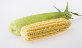 晚上吃烤玉米的好处与坏处 晚上吃烤玉米对人有哪些好处与坏处