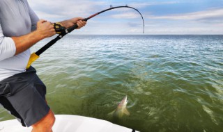 顿口不上鱼是什么原因 为什么顿口不上鱼