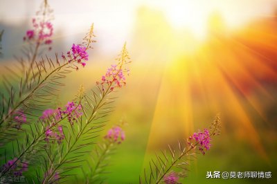 女人不理你也不回复你信息怎么办 聪明男人如何处理