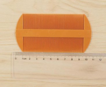 虱子的由来这是怎么长出来的 为什么现在虱子没有了