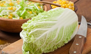 白菜如何保鲜储存不发霉呢 怎么保存白菜