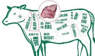 牛肉哪些部位好吃 牛肉哪些部位比较好
