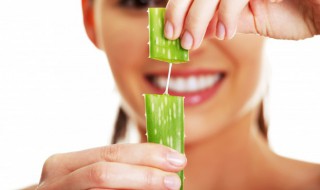 新鲜芦荟怎么放保鲜膜 新鲜芦荟怎么保存