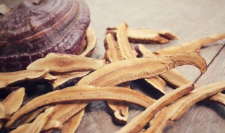 怎样保存灵芝最好 灵芝保存方法及注意事项