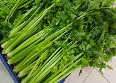 鳞茎类蔬菜有哪些品种 什么蔬菜属于鳞茎类植物