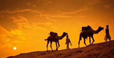 在沙漠中遇到渴死的骆驼为什么不能碰 骆驼会渴死在沙漠吗