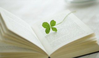 感恩节旅行的句子 关于旅行感恩的句子