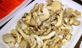 鲜菇发黄了还能吃吗 鲜菇发黄了还可以吃吗