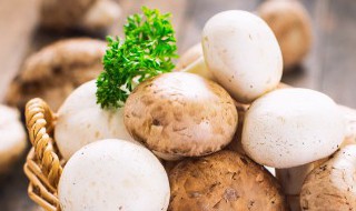 椴木花菇怎么吃 怎么吃椴木花菇