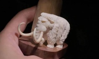 如何鉴别象牙的真假 怎么鉴别象牙的真假