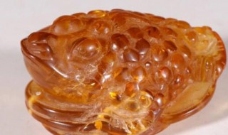 金蝉摆件怎么洗最快最干净 金蝉摆件如何洗最快最干净