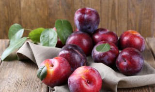 李子能和杨梅一起吃吗 李子和杨梅可以一起吃吗