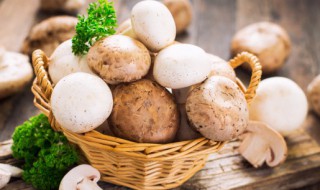 蘑菇和红萝卜能一起吃吗 蘑菇和红萝卜可不可以一起吃