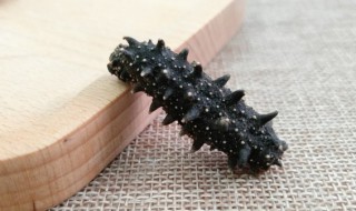 海参炒黄瓜的正宗做法 海参炒黄瓜的烹饪方法