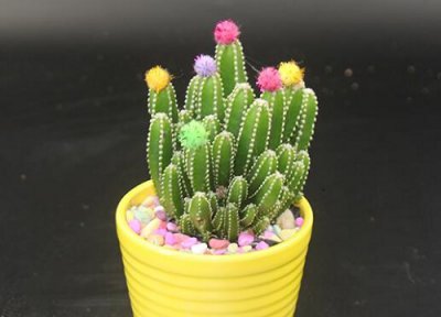 万重山风水摆放三不要 摆放在什么地方好