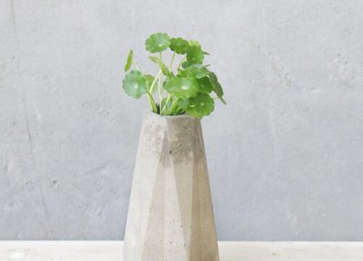 香菇草什么时候修剪 香菇草怎么修剪方法