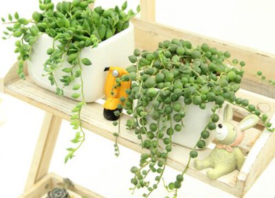 佛珠是否怕冻 佛珠冬天怎么养护