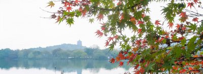 浙江省的地级市有哪些 浙江全省有11个地级市的知名景区